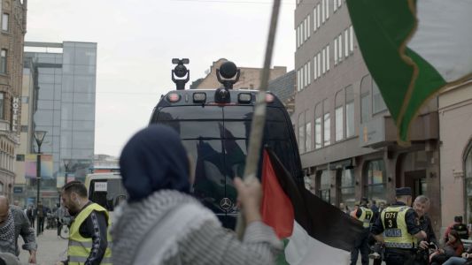 03 kvinna med flagga och overvakning